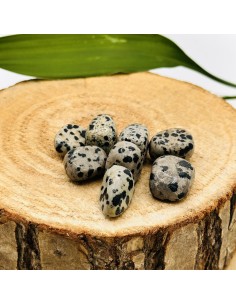 Jaspe Dálmata rodado para alegría, protección y equilibrio emocional