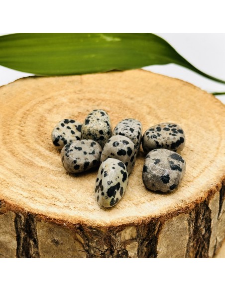 Jaspe Dálmata rodado para alegría, protección y equilibrio emocional