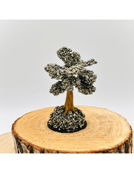 BONSAI DE PIRITA 5CM