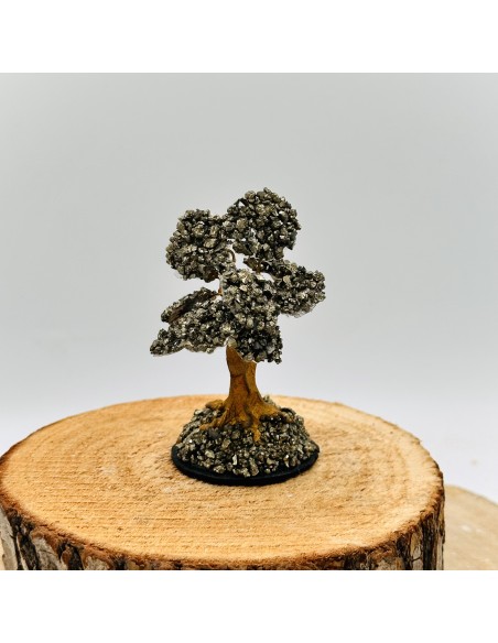 BONSAI DE PIRITA 5CM