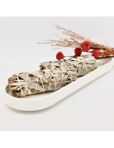 Tocha de sálvia branca 10 cm erva natural 2