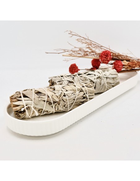 Tocha de sálvia branca 10 cm erva natural