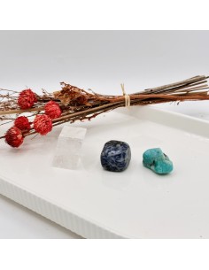 Kit del Estudiante | Enfoque y claridad mental