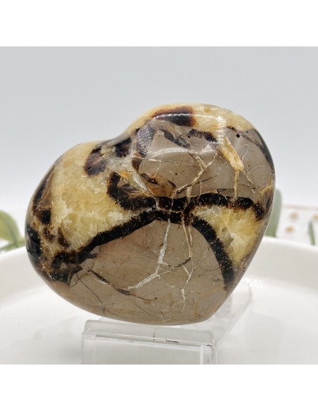 Coração de septaria para estabilidade emocional, conexão interior e força vibracional