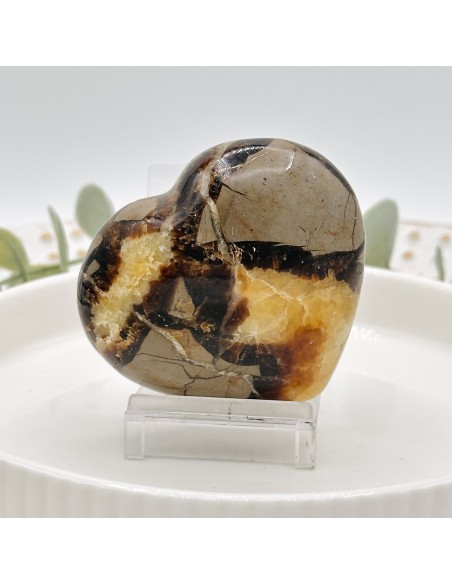 Coração de septaria para força interior, estabilidade energética e enraizamento vibracional