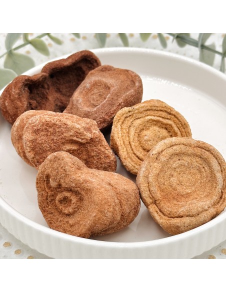 Estromatólito para sabedoria ancestral, estabilidade energética e força interior