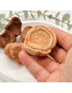 Estromatólito para sabedoria ancestral, estabilidade energética e força interior 2