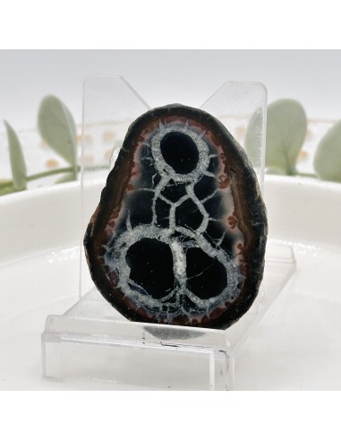 Placa de septaria para estabilidade interior, cura emocional profunda e fortalecimento vibracional