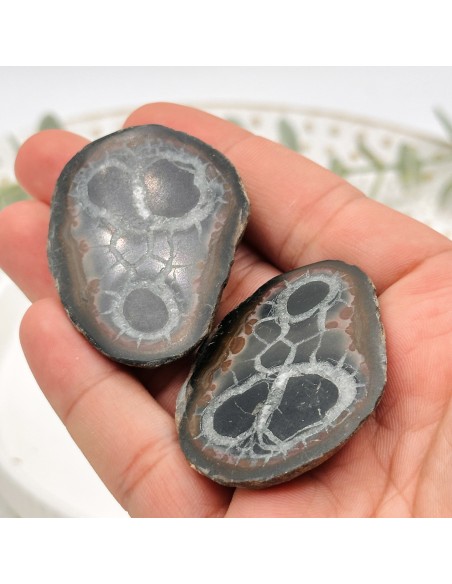 Placa de septaria em par semi-polida pedra natural