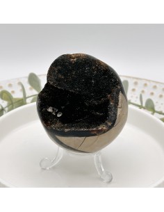 HUEVO DE SEPTARIA MEDIANO 2