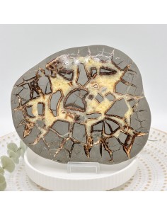 Placa de septaria para enraizamento profundo, estabilidade emocional e força interior consciente