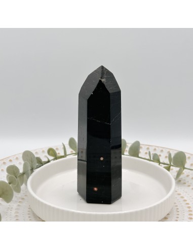 Gerador de turmalina negra para proteção energética intensa, enraizamento profundo e estabilização do campo vibracional