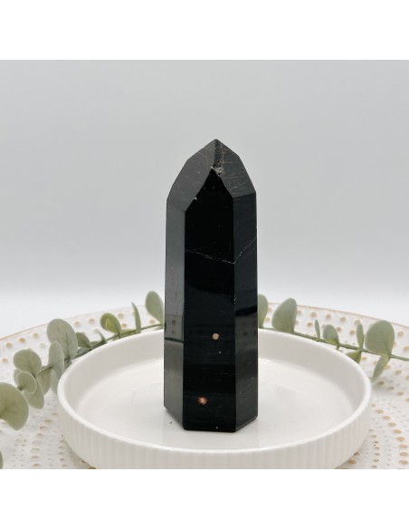 Gerador de turmalina negra para proteção energética intensa, enraizamento profundo e estabilização do campo vibracional