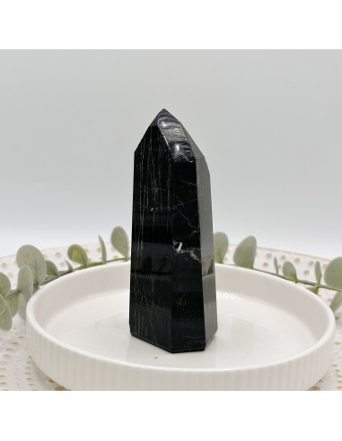 Gerador de turmalina negra para proteção energética intensa, enraizamento profundo e fortalecimento do campo vibracional