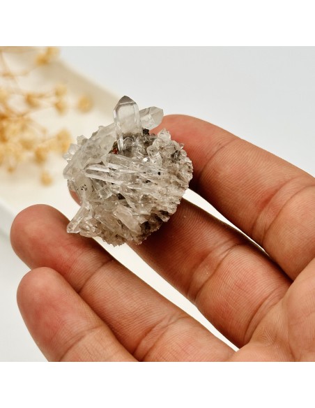 Drusa de cuarzo cristal para purificación energética profunda, amplificación vibracional y elevación espiritual consciente