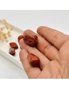 aspe Vermelho Rolado 1 cm | Tenda Gaia 2