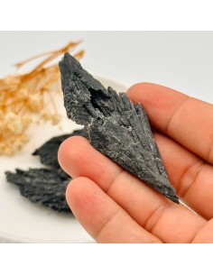 CIANITA PRETA 5 A 6CM