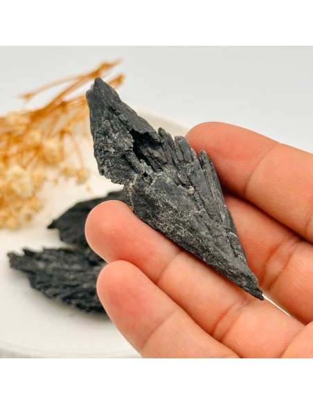 Cianite Preta 5 a 6 cm | Tenda Gaia