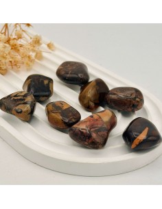 Jaspe chocolate rolado 2 a 3 cm pedra natural