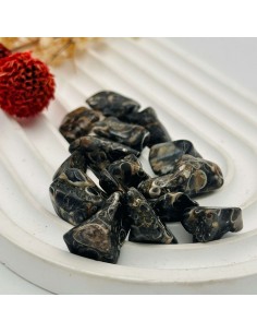 AGATA TURRITELA RODADO 1 A 2CM