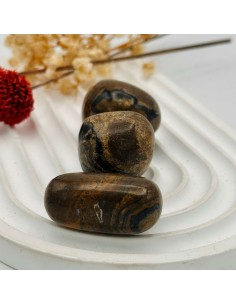 Estromatolito rodado para sabiduría ancestral, estabilidad y conexión con la Tierra