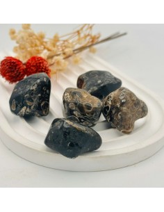 AGATA TURRITELA RODADO 3 A 4CM