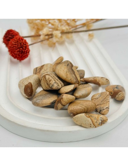 Jaspe Paisaje rodado para enraizamiento, claridad interior y equilibrio vibracional