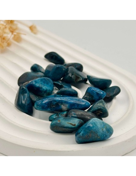 Quantum Quattro rodado para cura profunda, renovación energética y expansión del campo espiritual