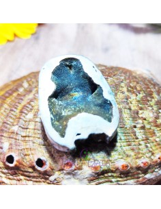 AMONITA PIRITIZADA 4CM