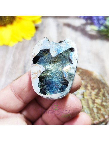 Amonite piritizado para memória ancestral, renovação energética e equilíbrio vibracional