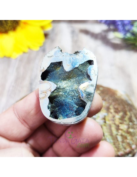 Amonite piritizado 4 cm fóssil natural