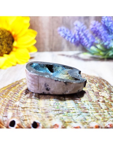 Amonite piritizado para memória ancestral, renovação energética e equilíbrio vibracional