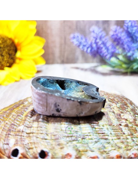 AMONITA PIRITIZADA 4CM