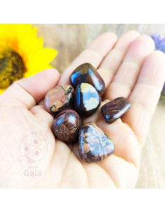 Jaspe chocolate rolado 1 a 2 cm pedra natural 2