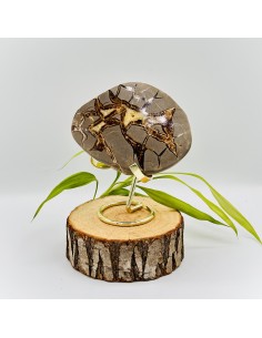 Septária semi-polida média 10 cm pedra natural 2