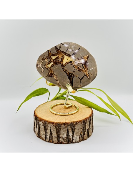 Septária semi-polida média 10 cm pedra natural